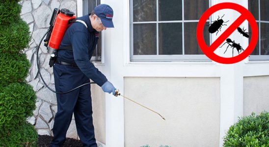 Kapaklı Bit İlaçlama böcek ilaçlama ve haşere kontrolü — ilaclama-tr.com
